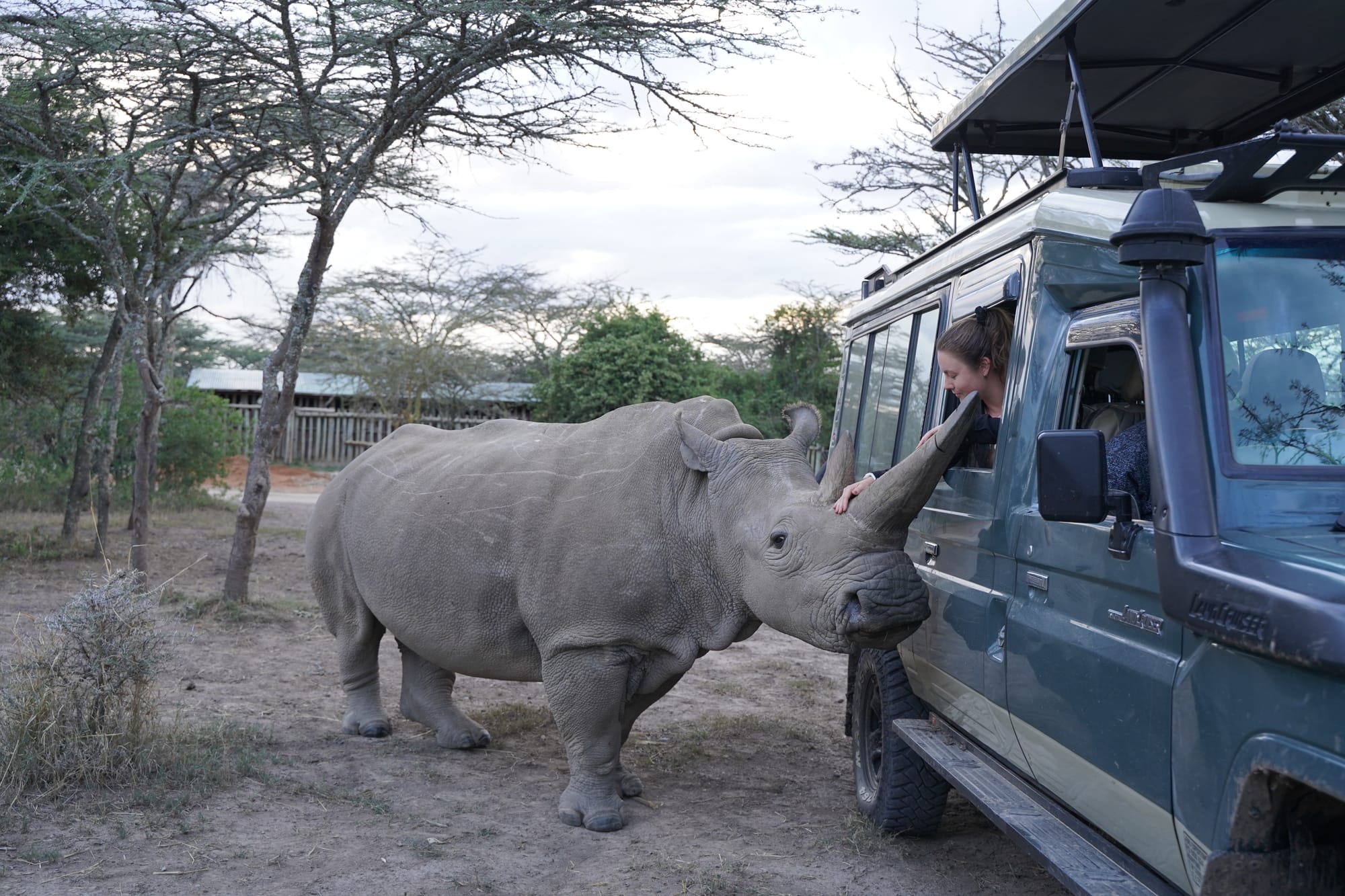 Tech for Good: Using AI to Track Rhinos in Kenya
